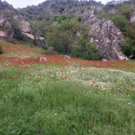 مبيت وإفطار فارديزا Сhachkari المظهر الخارجي الصورة