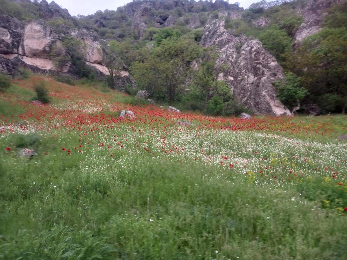 مبيت وإفطار فارديزا Сhachkari المظهر الخارجي الصورة