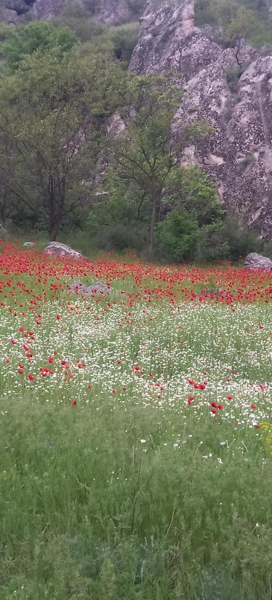 مبيت وإفطار فارديزا Сhachkari المظهر الخارجي الصورة